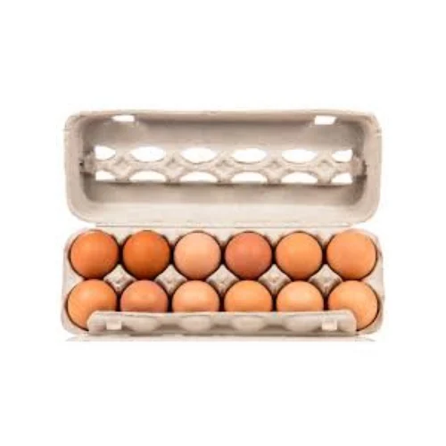 12 LARGE BROWN EGGS