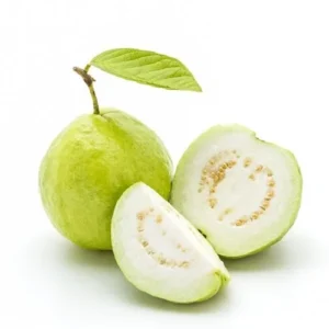 GUAVA CHINESE