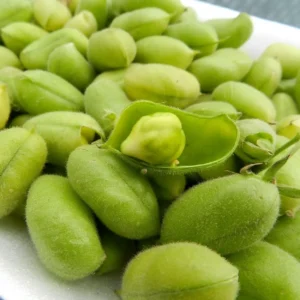 Green Chana