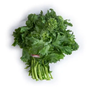 RAPINI